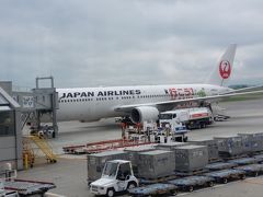 　　旭川空港着。５分遅れ程度でした。パイロットさん頑張りましたね。機体には
「行こうよ　九州」の文字。ここは北海道ですけど。それに一昨日、九州から戻ったばかりですけど・・・と、ここでも、一人ツッコミ。
　ＪＡＬマイラーですが、あちこちでツッコミます。マイルが貯まると思ったのに「搭乗券に記名されていない場合、マイルは付きません」とのこと。ツアーだけどせめて50％くらい付けてほしいです。ツアープレミアムに年間2160円も払って入っているのに、何にもなりません。海外のツアーなら付くのに・・・