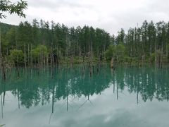 　次は美瑛の青い池
曇りのためか、青さが今一つ、どちらかというと緑っぽい色です。
カナダのモレーン湖などの方が青かったです。
