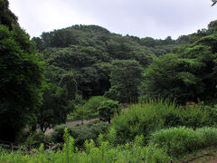 １０分少々歩くと、鎌倉中央公園に着いた。
入口近くから眺めると、ここも緑が豊かだった。