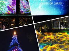 仕事を終えてYEBISU BARへ。
プレ金の半額で
ビールがとってもススムくん～♪
あまりの美味しさに
写真は失念 m(__)m
･･･
その後、東京タワーの
プロジェクションマッピング
TOKYO TOWER 
CITY LIGHT FANTASIAに
行きました～。