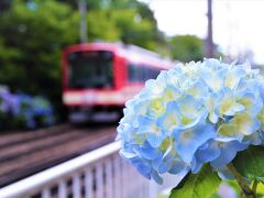 大平台で途中下車。
駅から１分の所に
あじさいの小径があるってことで
降りたのですが～