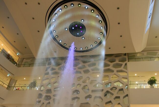 以前見た時と比べると水量が明らかに少なくい。<br /><br />