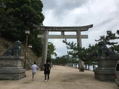 ここから『厳島神社』の境内です。