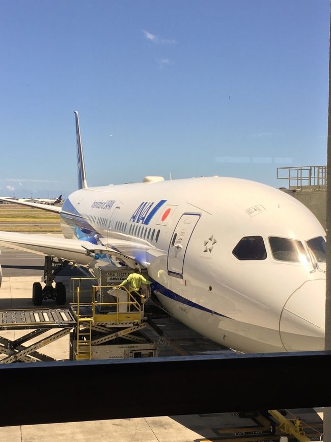 今回は、フライトの時間が悪かったのか飛行機のチェックインがはちゃめちゃに混んでて、多分1時間半くらいかかった気がする…。<br />帰りのピックアップが早いのは道が混むからってのもあるけど、こうゆうこともあるんだなと思った。<br /><br />帰りの飛行機は寝る必要ないから映画ざんまい！ドラえもんと、サバイバルファミリーと、映画館でも見たけどもう一回君の名は見ました。<br />飛行機の中で見る映画って、何故か映画館で見るよりもある意味心に残るね。<br />サバイバルファミリー、すっごく良かった！