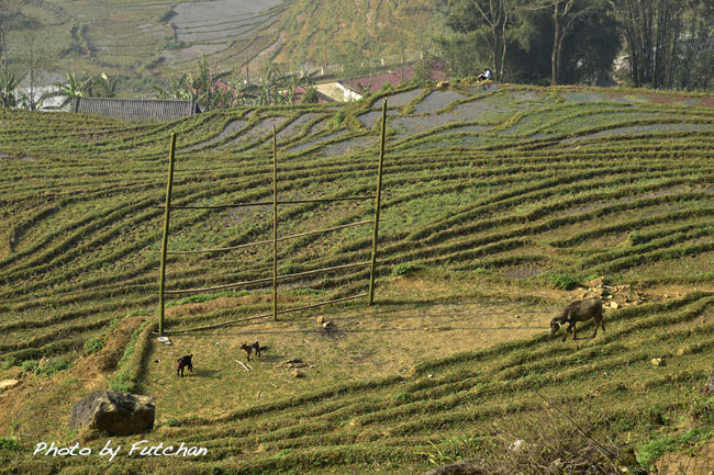 ＜ライステラス２＞