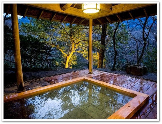 四季の湯座敷 武蔵野別館に宿泊 宮ノ下温泉 神奈川県 の旅行記 ブログ By ゆーさん フォートラベル