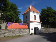 カドリオルグ公園の北東にあるピリタ修道院遺跡です。ピリタ修道院は15-16世紀に北欧最大の修道院の一つでしたが、1575年にロシアのイワン大帝がエストニアに攻め込み修道院を破壊しています。エストニアの歴史を反映する遺跡で、沢山の訪問者があります。これはピリカ修道院遺跡への入り口です。