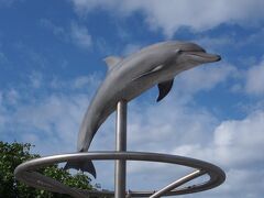 緋寒桜を堪能した後は、家内も大好きな
美ら海水族館へ移動♪