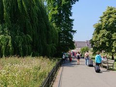 宮殿を離れ、セントジェームズ公園に入ります。こっちのお花もきれいでした！