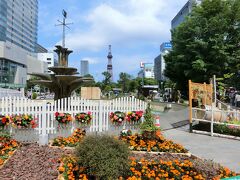 昨日も歩いた大通公園。花フェスタっていうのをやっていた。焼きトウモロコシの屋台も出ていた。