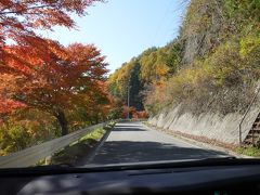 長野県箕輪町にある もみじ湖へ行きました
正式名称は箕輪ダムで、湖畔一帯には 1万本のもみじが 植えられているそうです