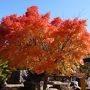 雲海と紅葉が見たくて阿智村へ　（もみじ湖～奈良井宿～昼神温泉 ホテル吉弥～ヘブンスそのはら）