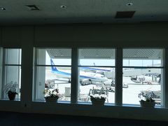 那覇空港に到着しました。
外は太陽ギラギラに見えますが、暑すぎずさわやかな気候です。