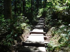 でも、こんなに天気が良いのだから歩くしかない。
三条の滝への山道に比べ、沼山峠はとても歩きやすい。