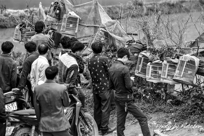 ＜ここも男が集まる小鳥市＞<br />　<br />　<br /><br />色鮮やかな衣装を身につけているのは花モン族の女達<br />藍染めシンプルなモンペ風な衣装はヌン族の女性<br />