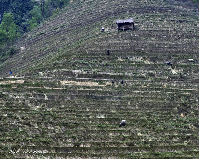 ＜働く人達＞<br />　<br />　<br />自分達の生活のリズムを頑なに守っている人達である。<br />Ｌさんが前もって連絡を入れていたお宅では<br />糸車で生糸を紡むぐ作業を実演してくれた。<br />生糸を紡むぐ作業は大事な現金収入源でしょう。<br />