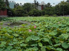 林業試験場を背景に