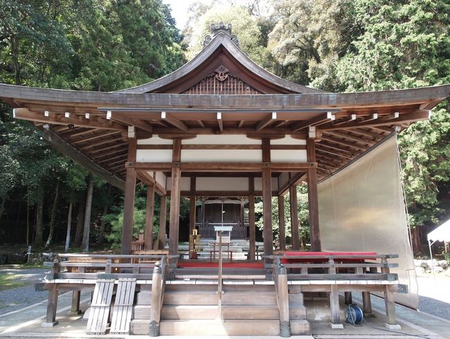 晩夏の京都ひとり旅【12】四日目・炎天下の月読神社、松尾大社、梅宮大社