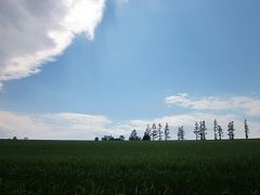 ここから見上げると空が果てしなく広く見えます。

果てしない大空と広い大地のその中で～、
思わず口ずさんでしまいますね！。