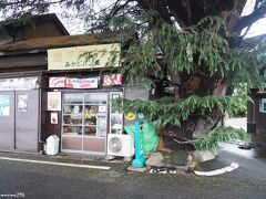 ヒマラヤ杉とみかどパン店

樹齢90年超と言われる谷中のシンボルツリーのヒマラヤ杉とみかどパン店