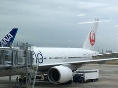 いろいろありましたが、無事に帰りの飛行機に乗ることができました。お疲れ様でした。飛行機や電車が通常通りに運行されることに改めて感謝です。