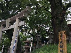 北岡神社にやって来ました。
鳥居の側に、見事に育った巨大な楠木が二本
良縁の象徴なのですね