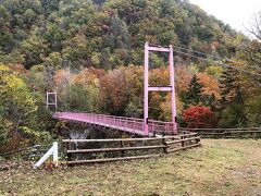 岩内自然の村・岩内仙峡

もと来た道を中札内の中心部まで戻って、次に岩内自然の村・岩内仙峡にやってきました。
もみじの名所だとかで、ちょうど前日に「もみじまつり」が行われたそうでしたが・・・

