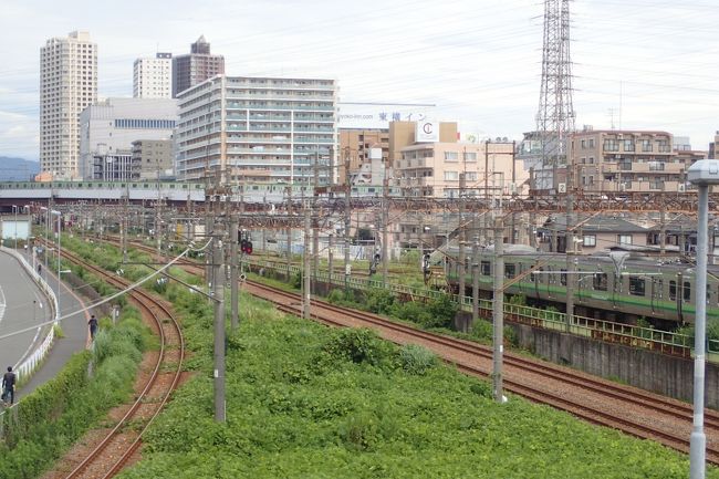 タイムマシーンのような相模線の１８全駅を自転車で各駅停車してみた 