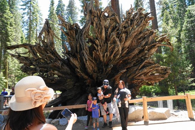 3 肥満体御用達 とっても楽チン Yosemite Grand Tour 乗っているだけで主な観光名所が見られます ヨセミテ国立公園周辺 アメリカ の旅行記 ブログ By Deracineさん フォートラベル