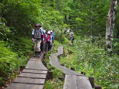 山ノ鼻・至仏山・鳩待峠ハイキングコース