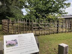 2日目は京都御所へ行く

駐車場へは蛤御門から入った

写真は駐車場の近くにあった「車返桜」
