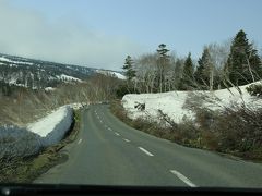 翌朝は朝食の前に雪の残る八甲田・十和田ゴールドラインをちょっとドライブ