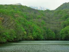 早朝の蔦沼撮影が目的です。