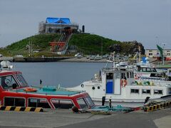 JR八戸線の鮫駅からテクテク歩いて行くと、小さな港の向こうに見えて来た蕪島とそのてっぺんにある蕪島神社。
標高19mの一番高い岩礁の上に立っていてすぐに目に留まります。

わ！　ここからもウミネコがたくさんいるのが分かる！

手前の岩壁に停まっている赤いボートは八戸港観光遊覧船で…、