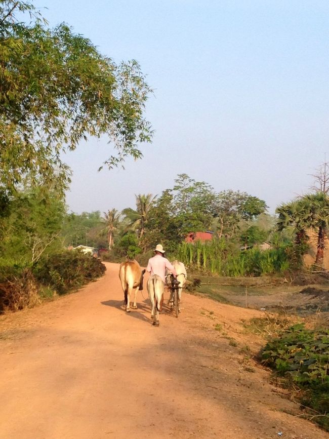 ゆったりとした時間が流れていました。