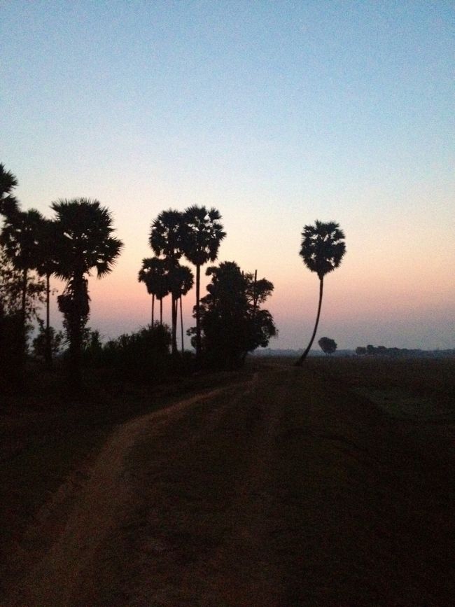 地平線がどこまでも広がる景色、その中で見る朝日や夕日はとても綺麗でした！