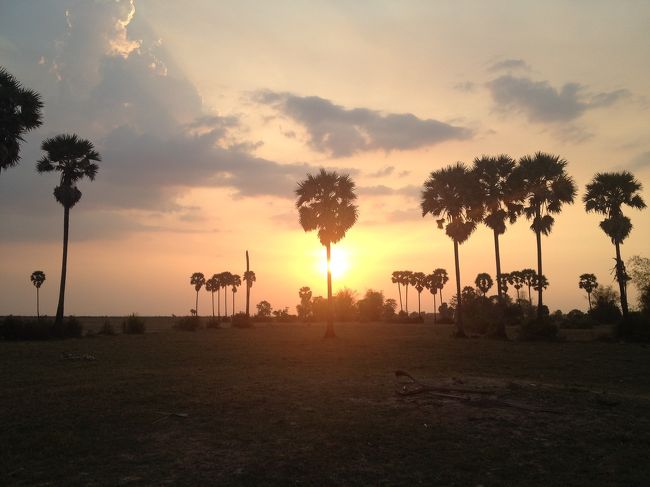 毎朝5時おきで朝日を見たこと、夕日を見たこと、この木なんの木に登ったこと…ほんとうに素敵な思い出です。
