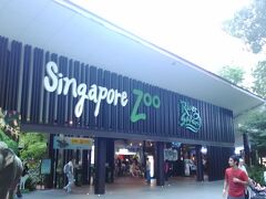 2日目の夜はナイトサファリですが、夕食のためにSingapore zooにやってきました。