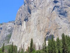 これが  EL Capitan （エル・キャピタン）、世界最大の一枚岩（花崗岩）
スペイン語でCapitan は 隊長、すなわち「岩の隊長」と畏敬の念をもって名づけたのだろう

この巨大な絶壁がロッククライマーの挑戦心を刺激し常にチャレンジャーの姿が見られる

道路のクルマの大きさと比較すればその巨大さがわかるだろう

