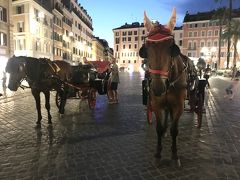 スペイン広場にやって来ました。

馬車のお馬さんがまさかのひこにゃん！（笑）

ちなみにスペイン広場の正式名称はトリニタ・デイ・モンティ広場というそうです。