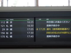 で、いざ着いてみると…
「仙台空港霧による悪天候のため、引き返しまたは羽田空港に着陸の可能性があります」
マジか～～！？！？｡ﾟ(ﾟ´Д｀ﾟ)ﾟ｡