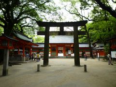 最後の目的地、住吉神社。ここはかなり警固神社から離れているので大変でした。途中道に迷い通りがかりの方に道順を尋ねてなんとかたどり着来ましたた。この時点で二万歩いってました。境内はここが一番広かったかな。歴史を感じさせる素晴らしい松が印象的でした。さあ、御朱印も頂戴したので皆が待つホテルへ急がねば。