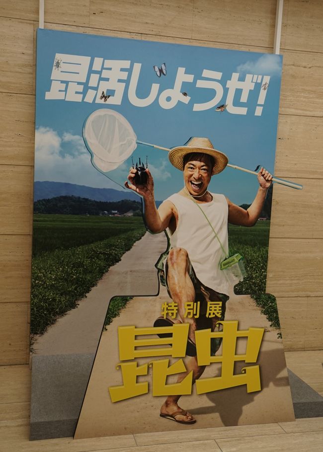 香川照之さん、昆活公式サポーターだそうです（笑）