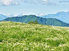 風に微かに 甘いリンゴ の果実 に似た香り が混ざります。
