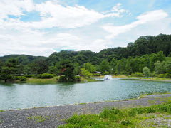 東京サマーランドといっても遊園地＆プールのある場所ではなく、「わんダフルネイチャーヴィレッジ」にあじさい園がある。こちらは、愛犬と一緒にアウトドアを満喫できるというコンセプトなんだそう。

あじさい鑑賞の場合、入場料は６００円。あじさい祭期間中の料金で、通常こちらの施設を利用するには８００円かかる。また駐車場も有料なのでご注意を。１日７００円（普通車の場合）。