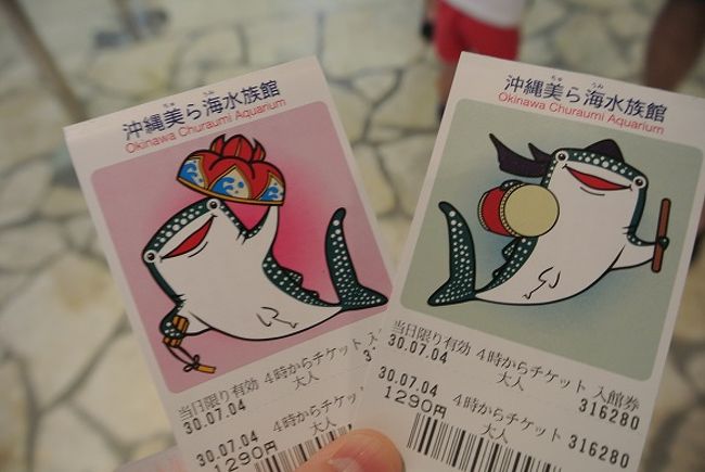 道産子夫婦が行く 台風直後の沖縄本島4泊5日その7 美ら海水族館 沖縄県の旅行記 ブログ By ダメ子さん フォートラベル 道産子夫婦が行く 台風直後の沖縄本島4泊5日その7 美ら海水族館 沖縄県の旅行記 ブログ By ダメ子さん フォートラベル