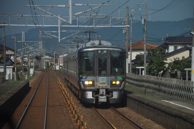 　下り電車も到着です。<br />　泊行きです。