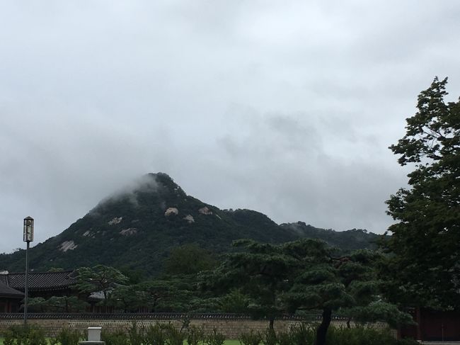 夏休みということで大型バスでほぼ満席の状態で市内観光スタートです。<br />行きのバスの中で、集合時間は守るようにという話と、昼食の希望を聞かれました。日本人は我々だけです。写真は、景福宮からみえる山です。