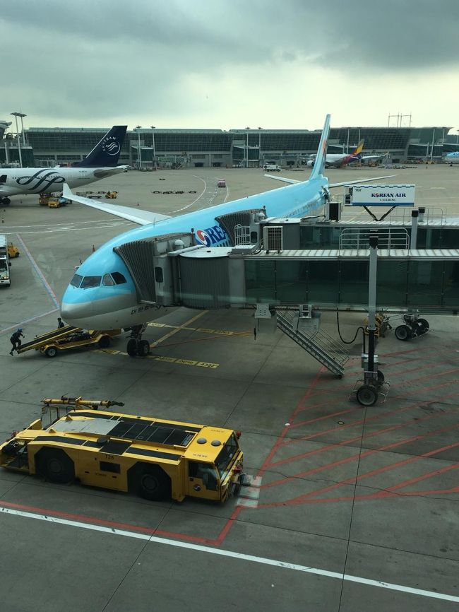 これからバリに向かう飛行機です。