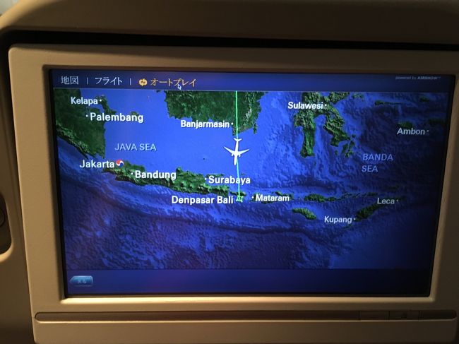 もうすぐバリ島につきます。